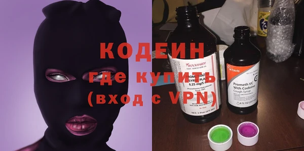 молекула духа Коряжма