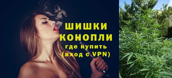 молекула духа Коряжма