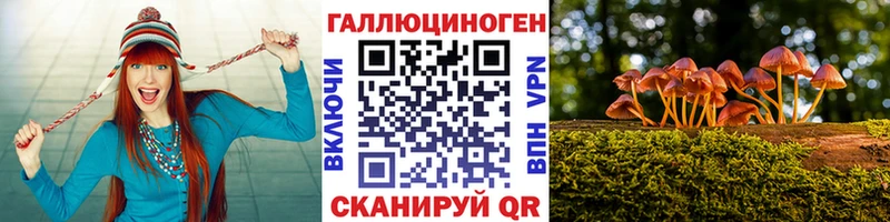 Галлюциногенные грибы Cubensis  Купить закладки  Долинск 